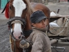 een zigeunerjongetje met het paard van zijn vader (foto: Bas Heemskerk)