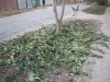 herfst2