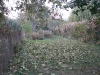 herfst3