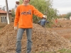 3boomplanten